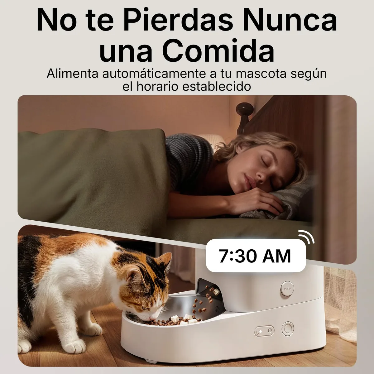 PETKIT Fresh Element Solo — comedero automático 3 L con WiFi y app — imagen 2